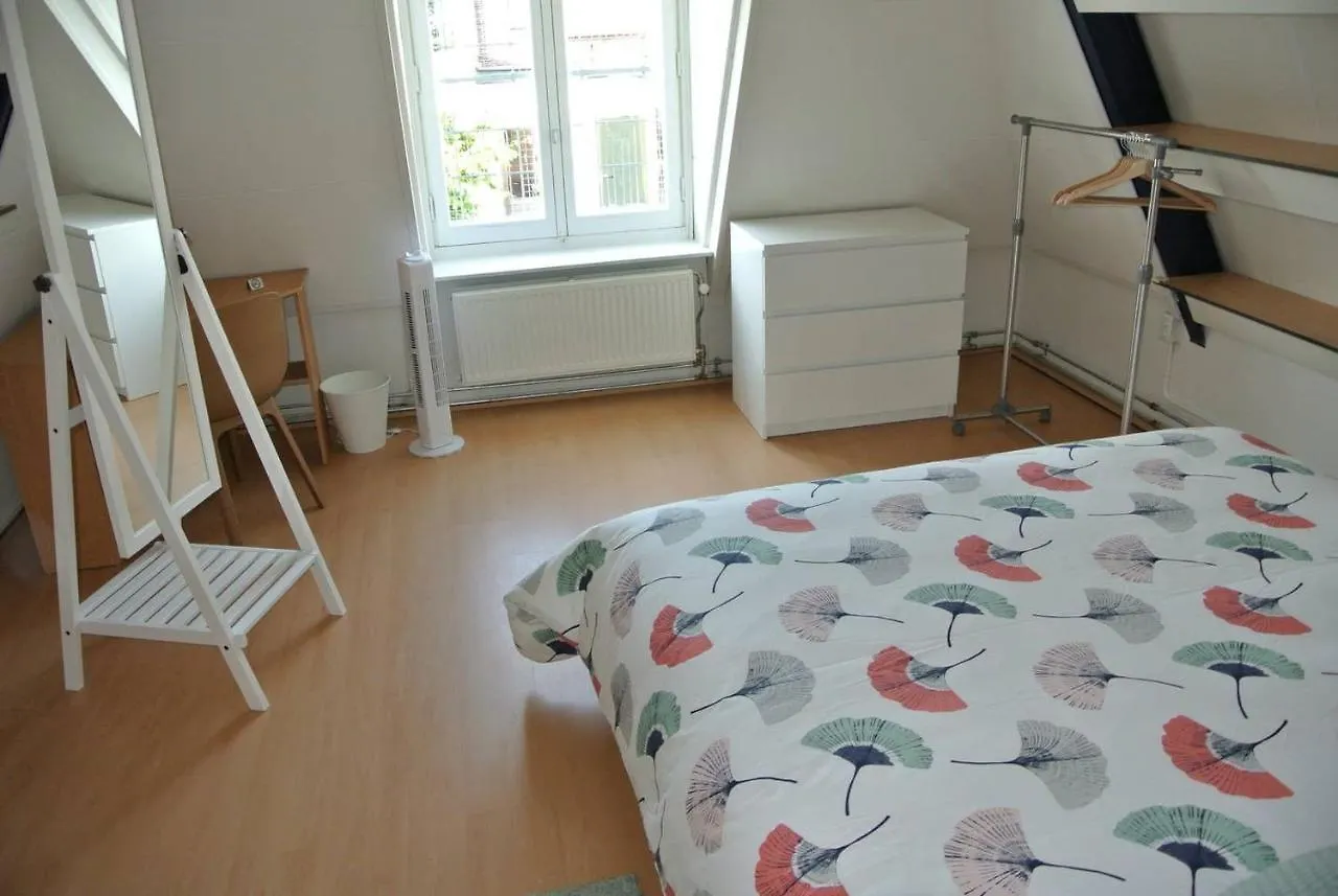 Friedalaan Guesthouse Zwanenburg